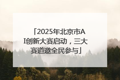 2025年北京市AI创新大赛启动，三大赛道邀全民参与