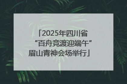 2025年四川省“百舟竞渡迎端午”眉山青神会场举行