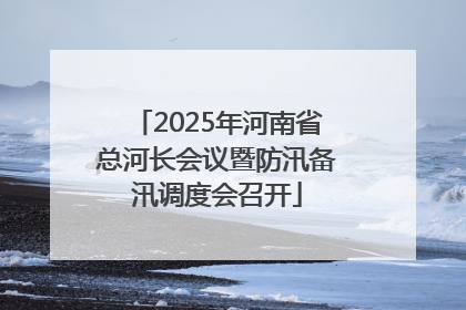 2025年河南省总河长会议暨防汛备汛调度会召开