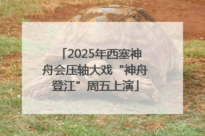 2025年西塞神舟会压轴大戏“神舟登江”周五上演