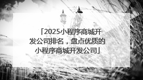 2025小程序商城开发公司排名，盘点优质的小程序商城开发公司