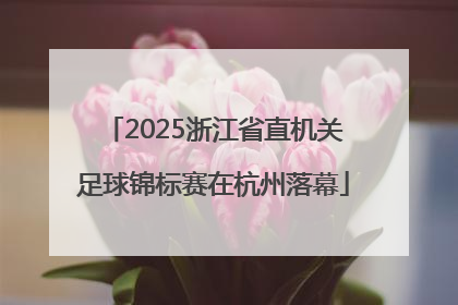 2025浙江省直机关足球锦标赛在杭州落幕