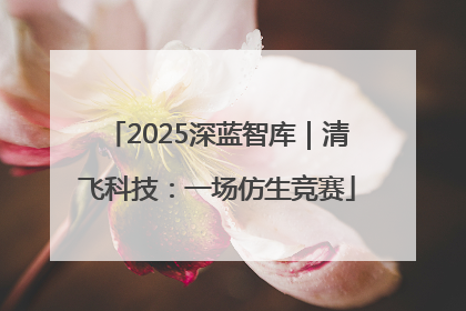 2025深蓝智库｜清飞科技：一场仿生竞赛