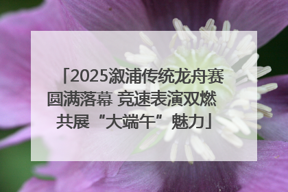 2025溆浦传统龙舟赛圆满落幕 竞速表演双燃 共展“大端午”魅力