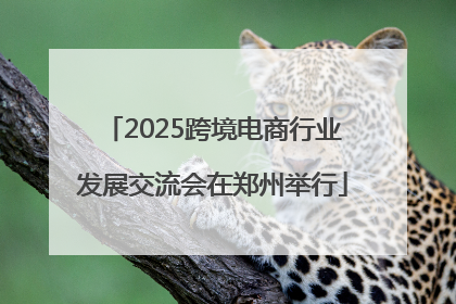 2025跨境电商行业发展交流会在郑州举行