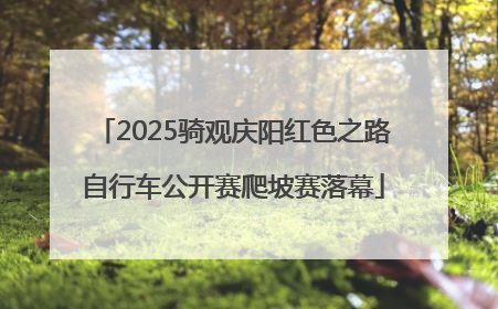 2025骑观庆阳红色之路自行车公开赛爬坡赛落幕