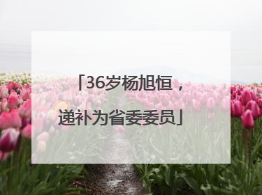 36岁杨旭恒，递补为省委委员