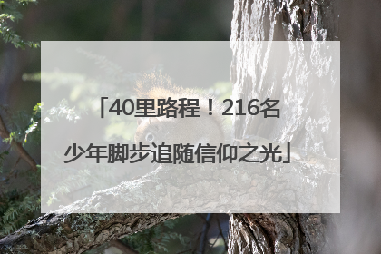 40里路程！216名少年脚步追随信仰之光
