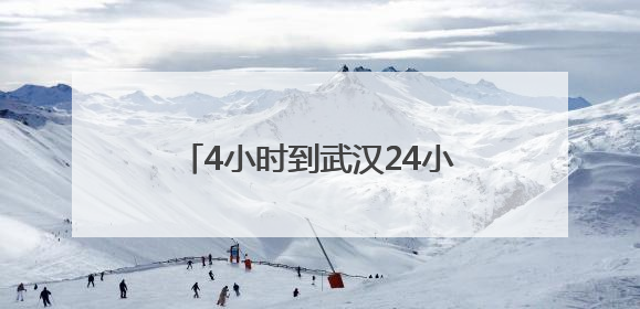 4小时到武汉24小时达新疆，京东助广东荔枝“鲜”到全国