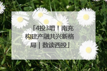 4投3增！南充构建产融共兴新格局｜数读西投