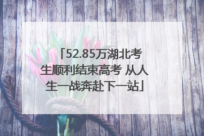 52.85万湖北考生顺利结束高考 从人生一战奔赴下一站