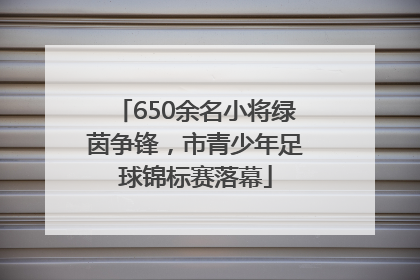 650余名小将绿茵争锋，市青少年足球锦标赛落幕