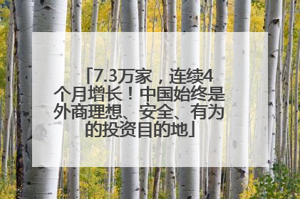 7.3万家，连续4个月增长！中国始终是外商理想、安全、有为的投资目的地