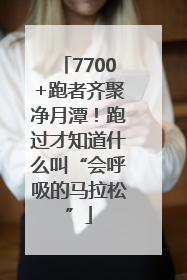 7700+跑者齐聚净月潭！跑过才知道什么叫“会呼吸的马拉松”