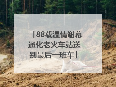 88载温情谢幕 通化老火车站送别最后一班车
