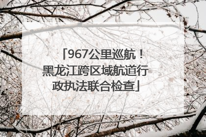 967公里巡航！黑龙江跨区域航道行政执法联合检查