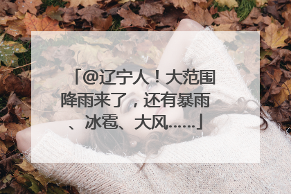 @辽宁人！大范围降雨来了，还有暴雨、冰雹、大风……