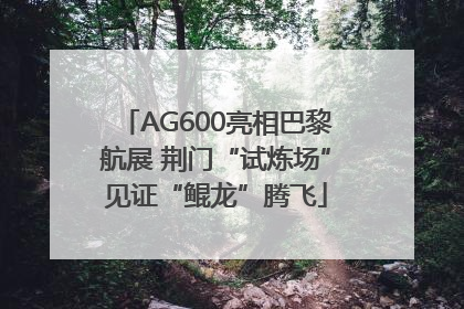 AG600亮相巴黎航展 荆门“试炼场”见证“鲲龙”腾飞