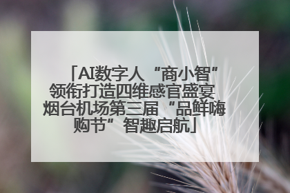 AI数字人“商小智”领衔打造四维感官盛宴 烟台机场第三届“品鲜嗨购节”智趣启航