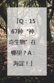 Q：1567种“神奇生物”在哪里？A：海淀！