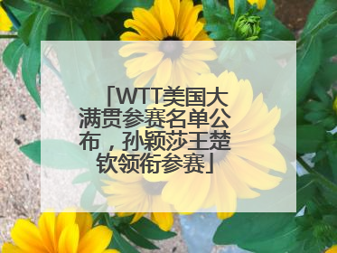 WTT美国大满贯参赛名单公布，孙颖莎王楚钦领衔参赛